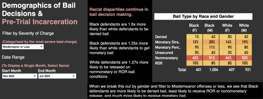 A screen cap of the Demographics of Bail Decisions & Pre-Trial Incarceration dashboard.
